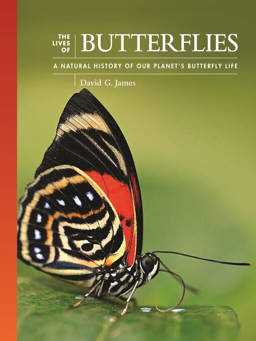 Title details for The Lives of Butterflies by David G. James - Available